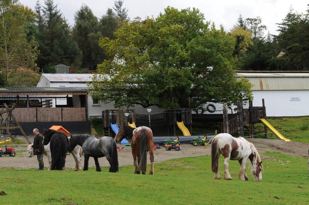 Muckross Riding Stables Killarney Zewnętrze zdjęcie