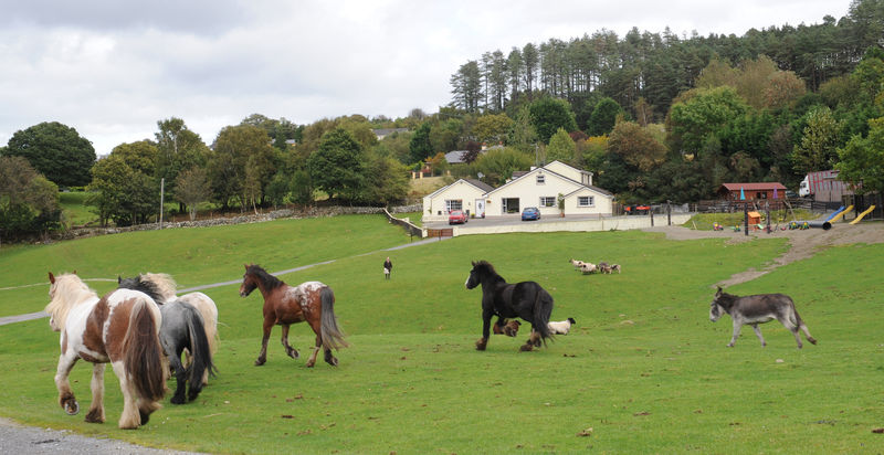 Muckross Riding Stables Killarney Zewnętrze zdjęcie