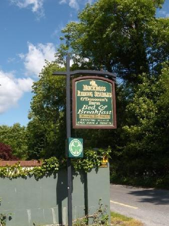 Muckross Riding Stables Killarney Zewnętrze zdjęcie